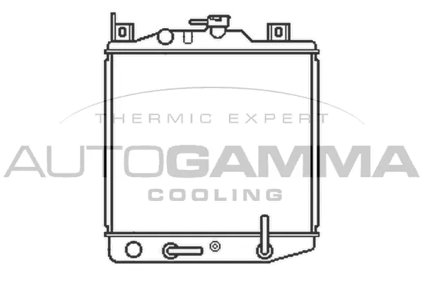 Radiator, engine cooling (102337)