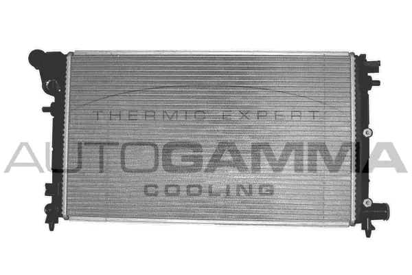 Radiator, engine cooling (100198)
