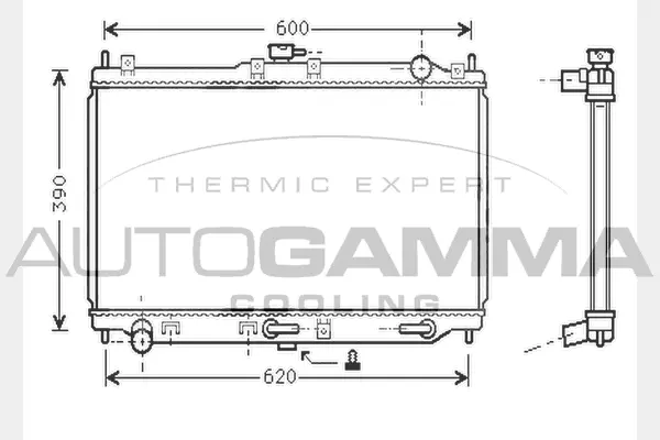 Radiator, engine cooling (104285)