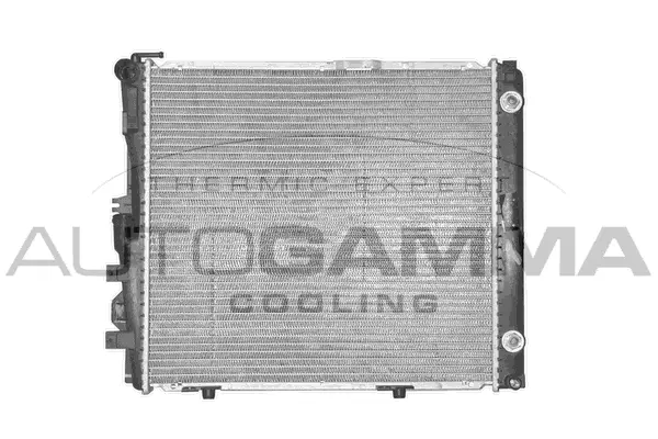 Radiator, engine cooling (100545)