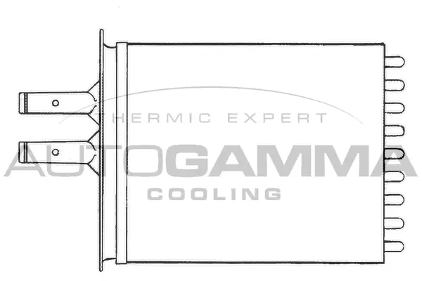 Heat Exchanger, interior heating (101610)