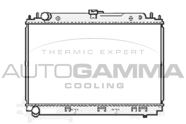 Radiator, engine cooling (104861)