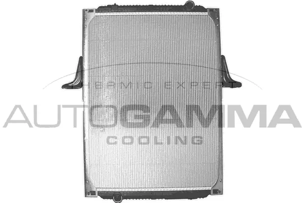 Radiator, engine cooling (404188)