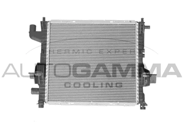 Radiator, engine cooling (101252)