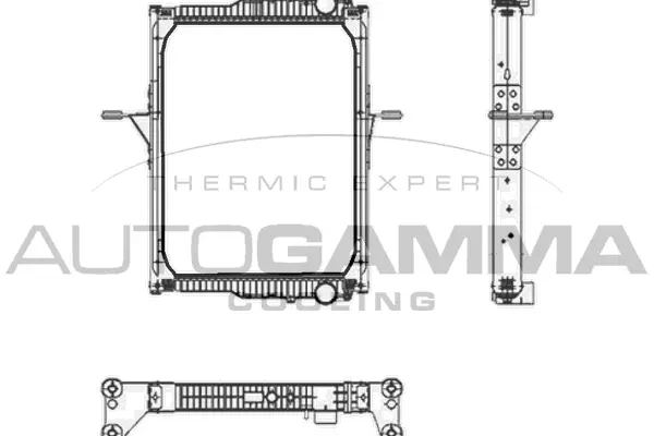Radiator, engine cooling (404932)