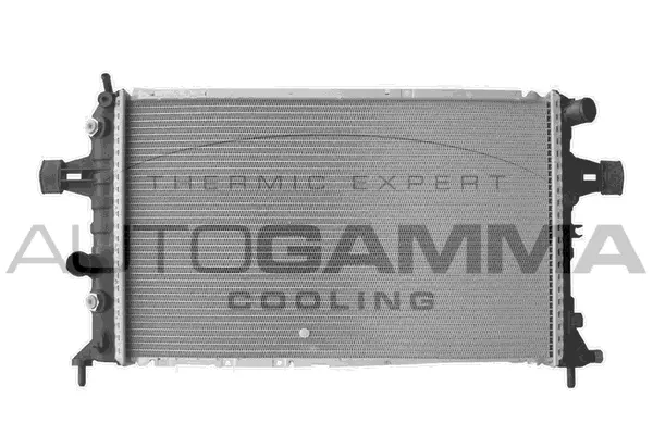 Radiator, engine cooling (102261)
