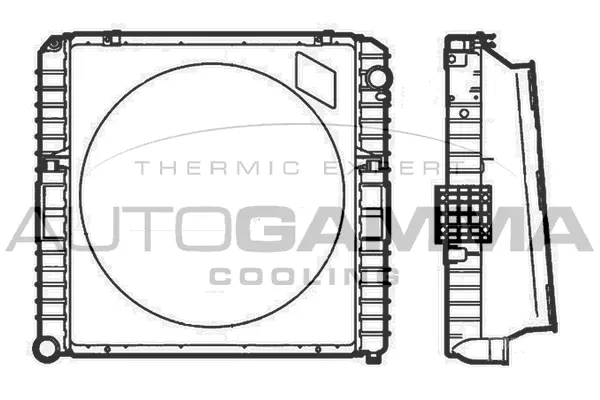 Radiator, engine cooling (403502)