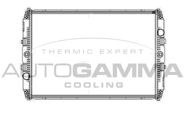 Radiator, engine cooling (405020)