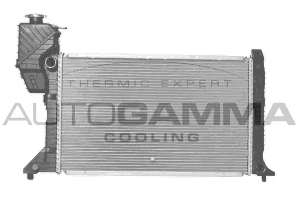 Radiator, engine cooling (101323)