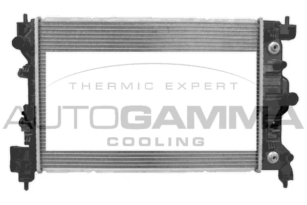 Radiator, engine cooling (107703)