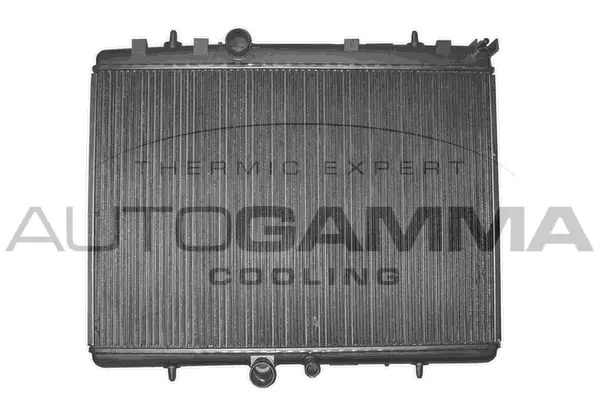 Radiator, engine cooling (103367)