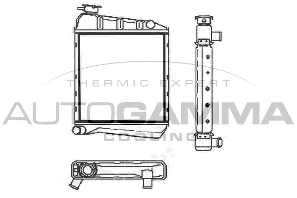 Radiator, engine cooling (100075)