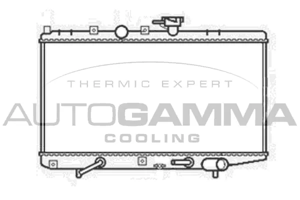 Radiator, engine cooling (103818)