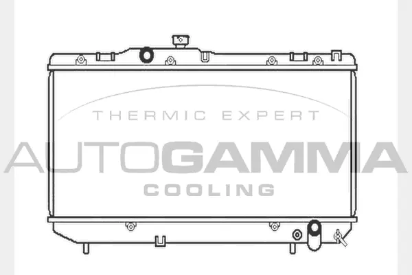 Radiator, engine cooling (101356)