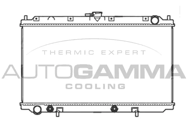Radiator, engine cooling (102196)