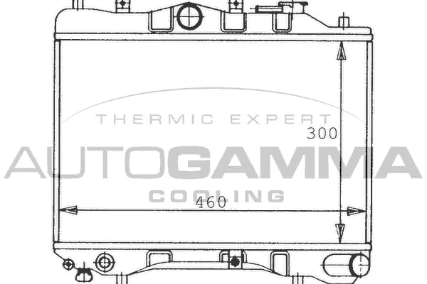 Radiator, engine cooling (100481)