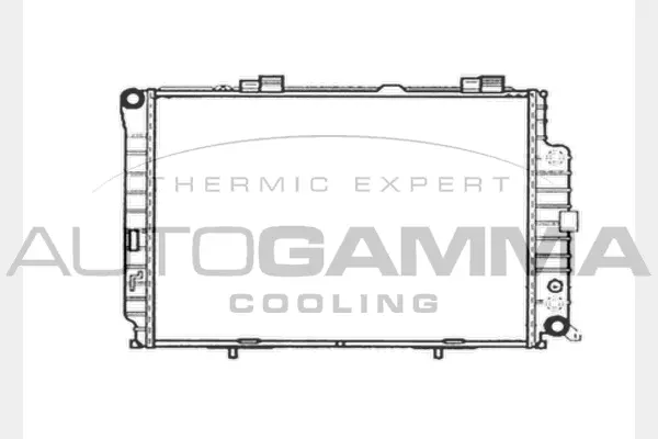 Radiator, engine cooling (101382)