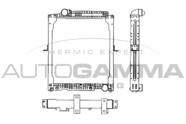 Radiator, engine cooling (403478)