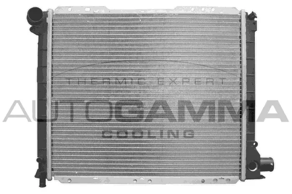 Radiator, engine cooling (100276)