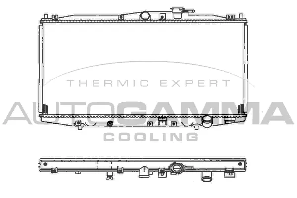 Radiator, engine cooling (102097)