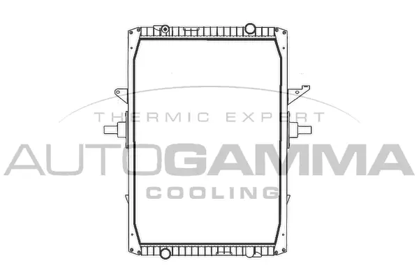 Radiator, engine cooling (404426)