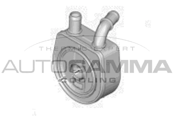 Oil Cooler, engine oil (103004)