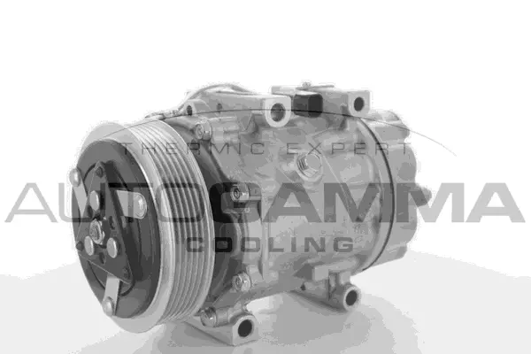 Compressor, air conditioning (108911)