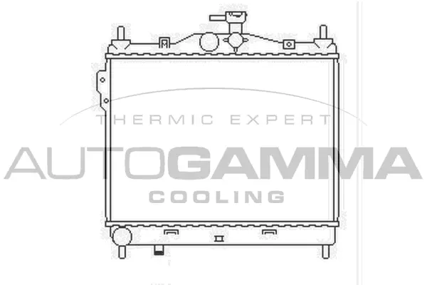 Radiator, engine cooling (103669)
