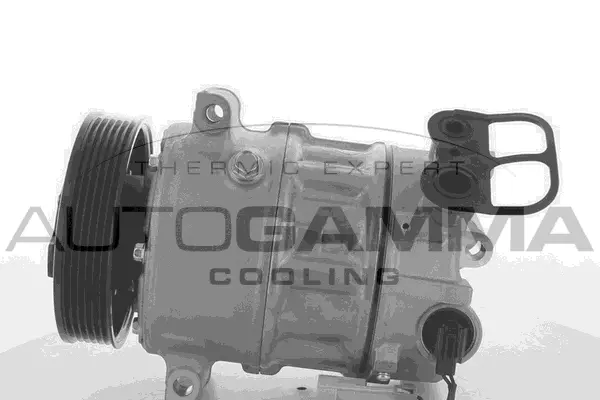 Compressor, air conditioning (118555)