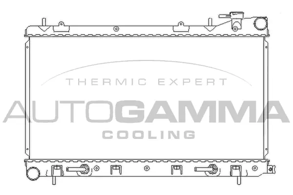 Radiator, engine cooling (107054)