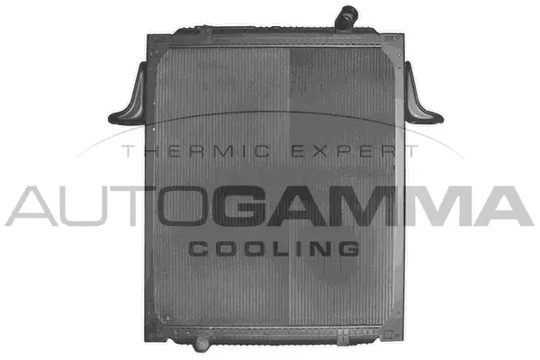 Radiator, engine cooling (404190)