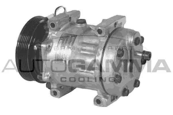 Compressor, air conditioning (108017)