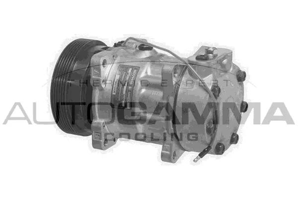 Compressor, air conditioning (108217)