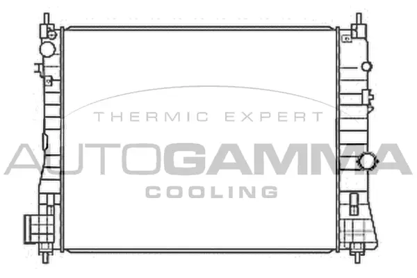 Radiator, engine cooling (107896)