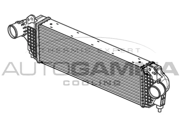 Charge Air Cooler (105950)