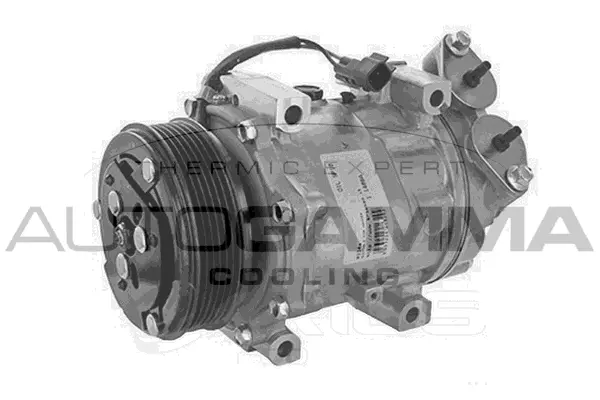 Compressor, air conditioning (118673)