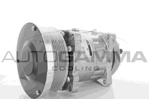 Compressor, air conditioning (118470)