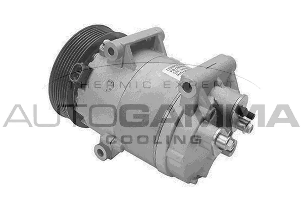 Compressor, air conditioning (108064)