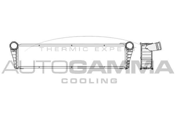 Radiator, engine cooling (104699)
