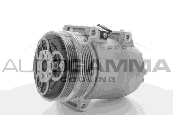 Compressor, air conditioning (108664)
