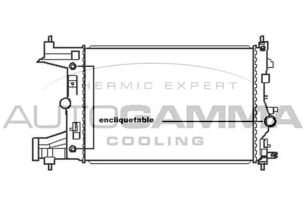 Radiator, engine cooling (105669)
