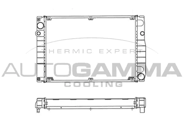 Radiator, engine cooling (101300)