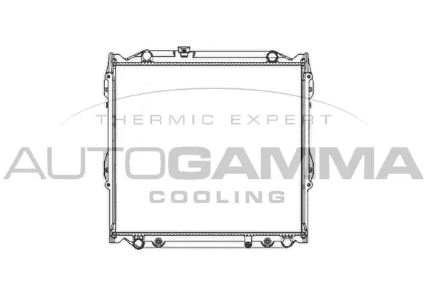 Radiator, engine cooling (102368)