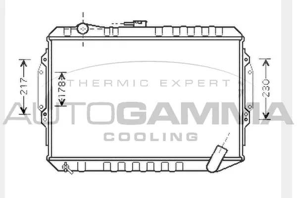 Radiator, engine cooling (104548)