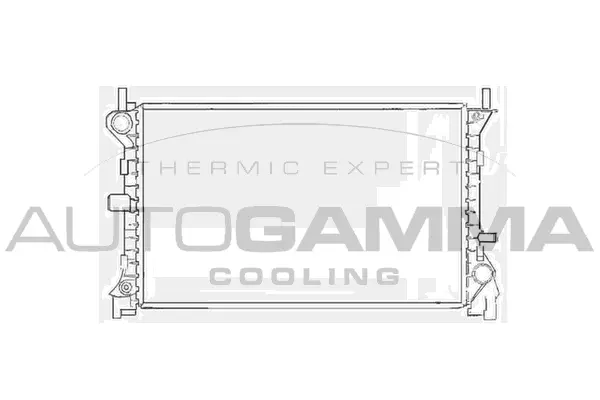 Radiator, engine cooling (102071)