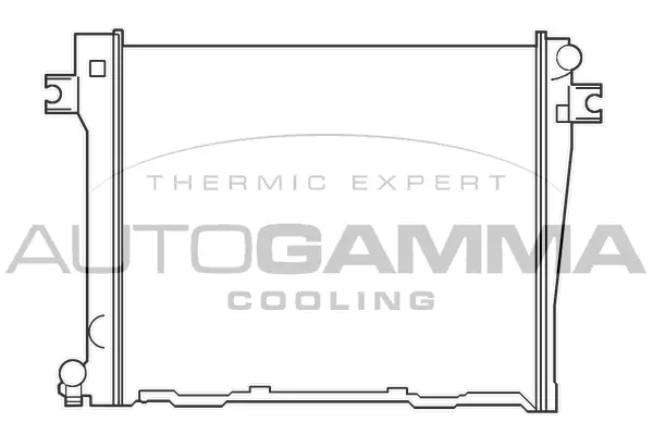 Radiator, engine cooling (100098)