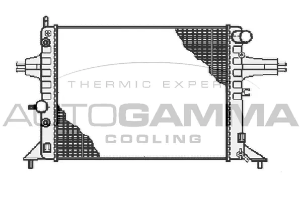 Radiator, engine cooling (102219)