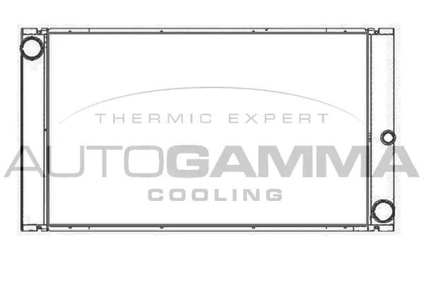 Radiator, engine cooling (107411)