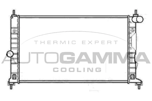 Radiator, engine cooling (102303)