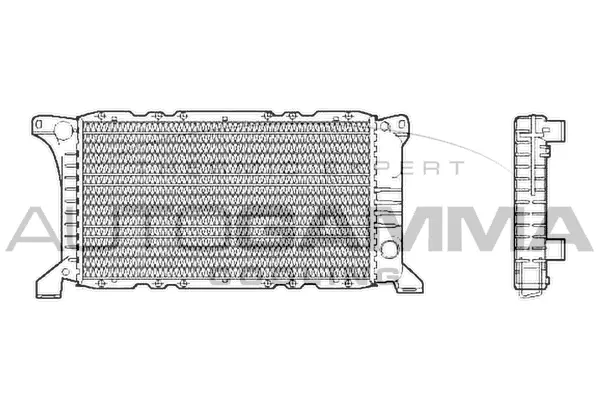 Radiator, engine cooling (102531)
